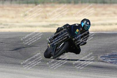 media/Jun-30-2024-TrackDaz (Sun) [[975061b0f9]]/Group C/Grapevine (940am)/